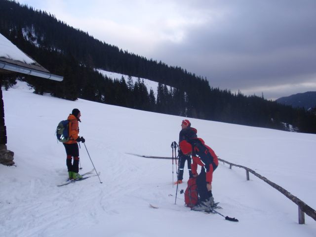 P1060590.jpg