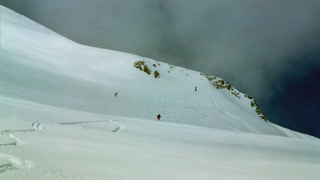 12004_nc.jpg