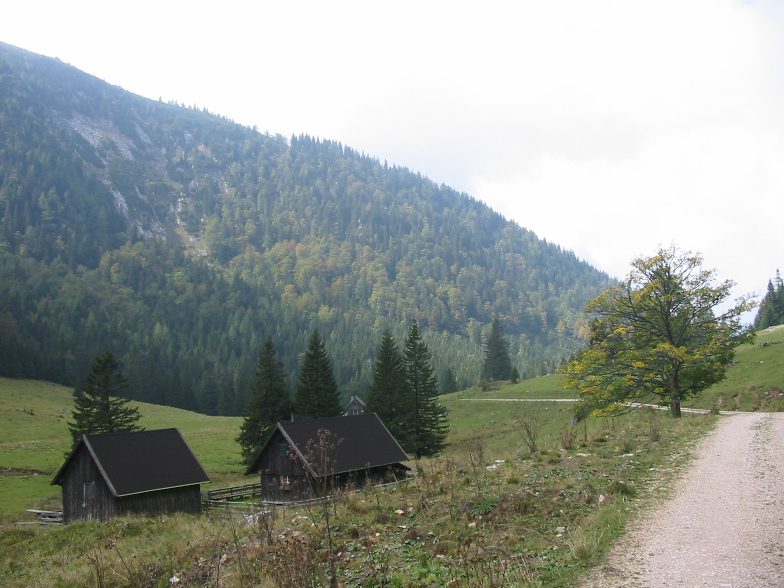 IMG 0050