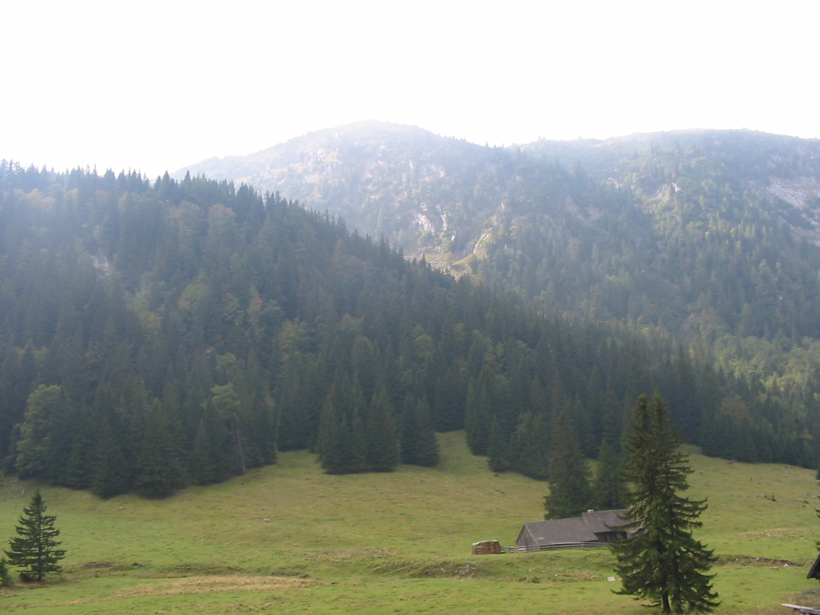 IMG 0051