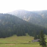 IMG 0051