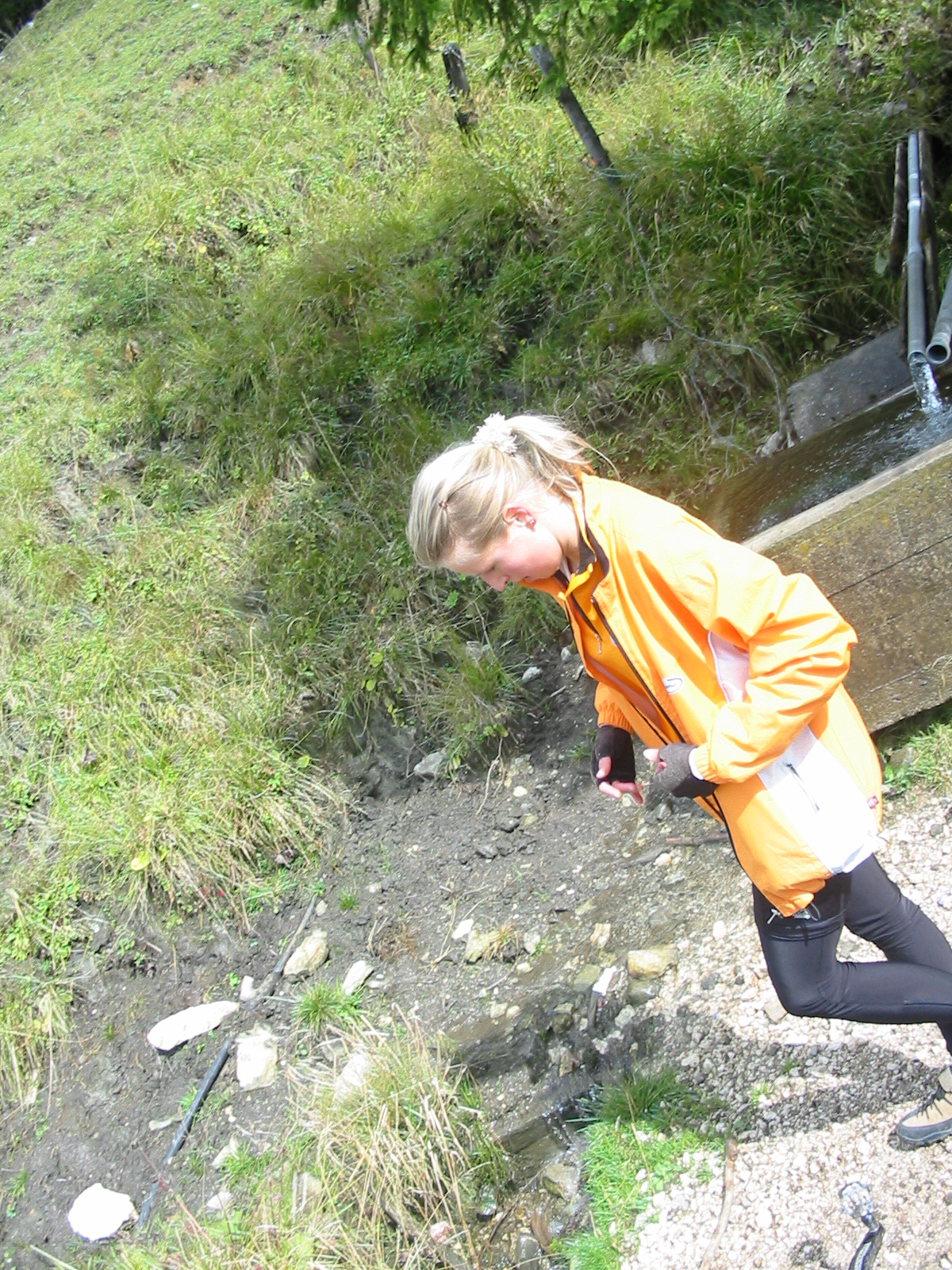IMG 0060