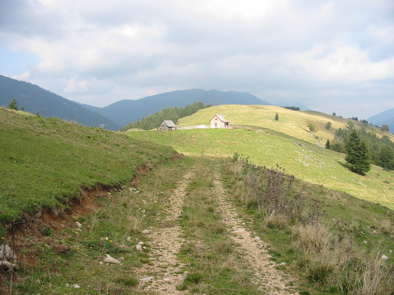 IMG 0080