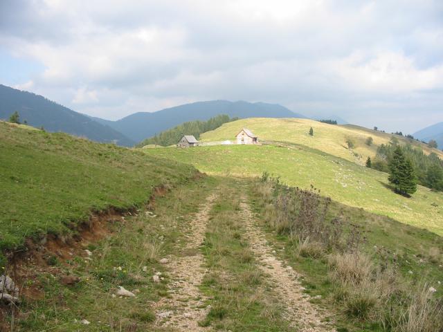 IMG 0080