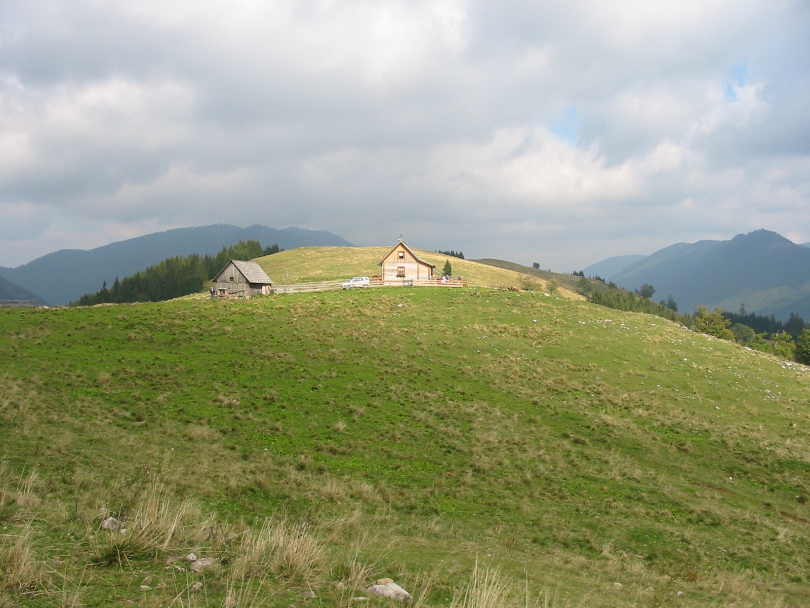 IMG 0082