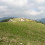 IMG 0082