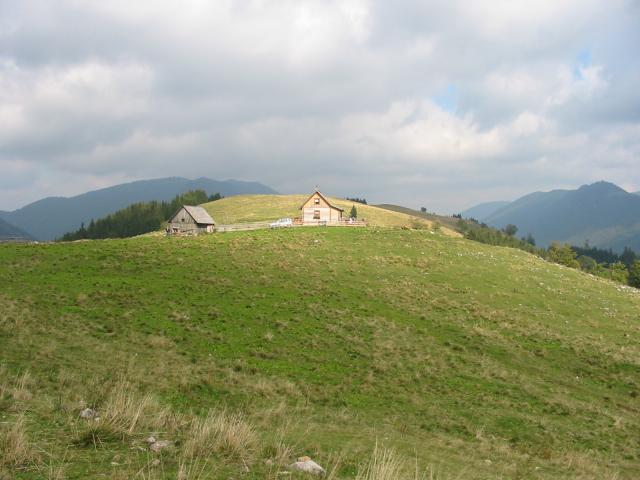 IMG 0082