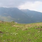 IMG 0084