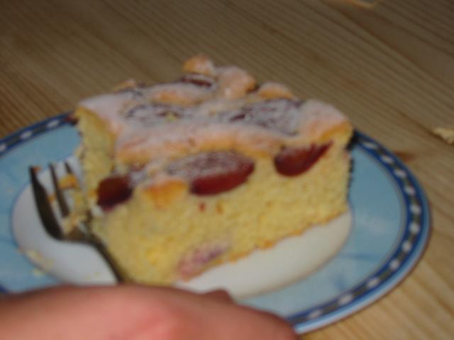 IMG 0088