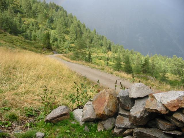 IMG_0068.jpg