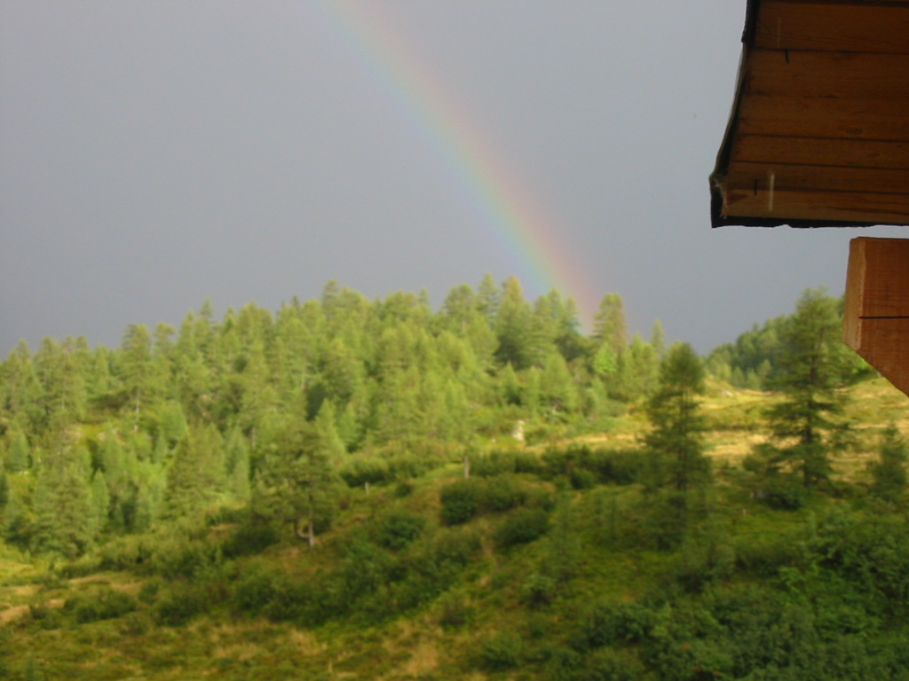 IMG_0070.jpg