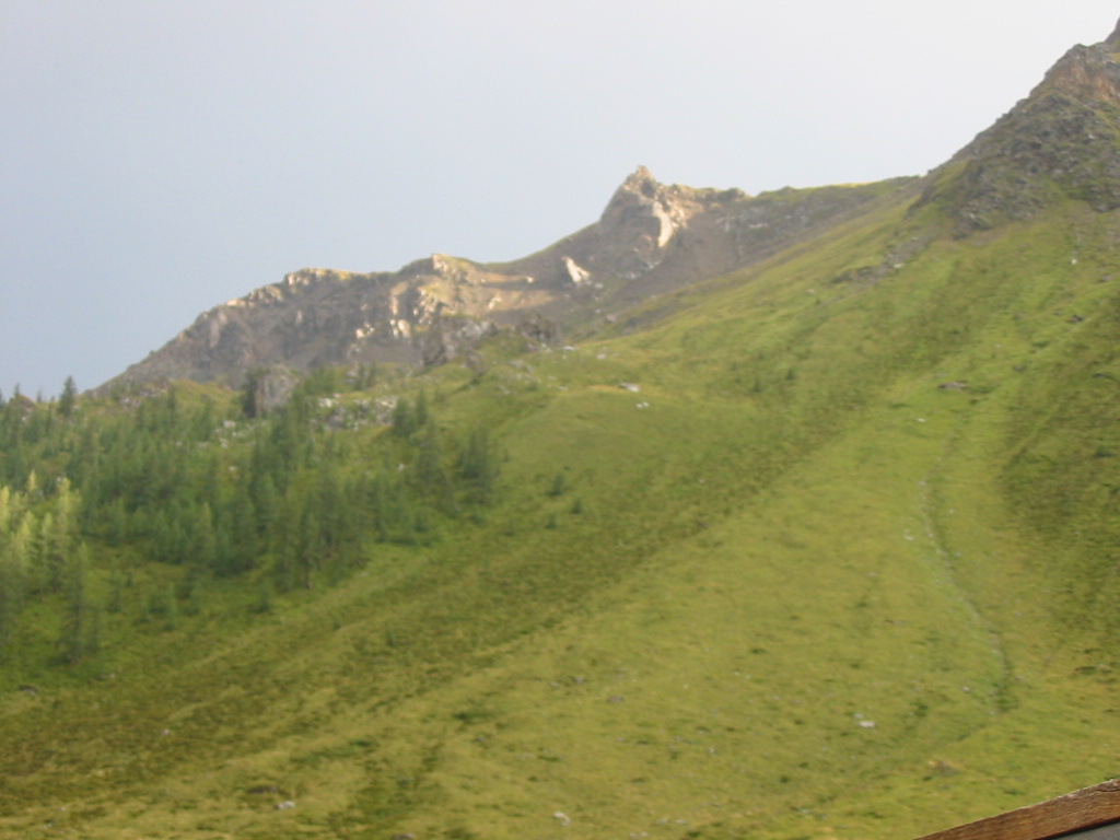 IMG_0075.jpg