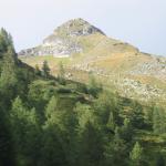 IMG_0076.jpg