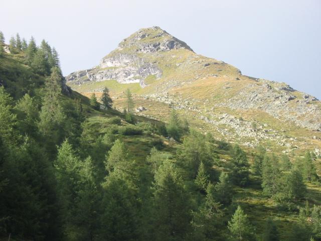 IMG_0076.jpg