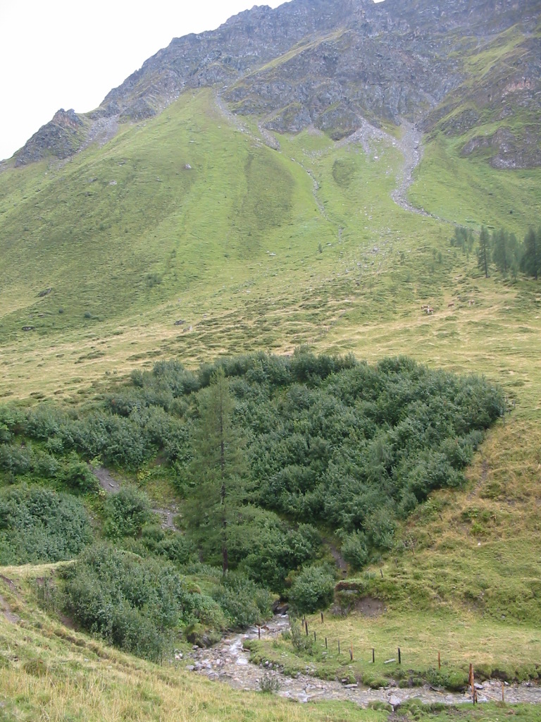 IMG_0087.jpg