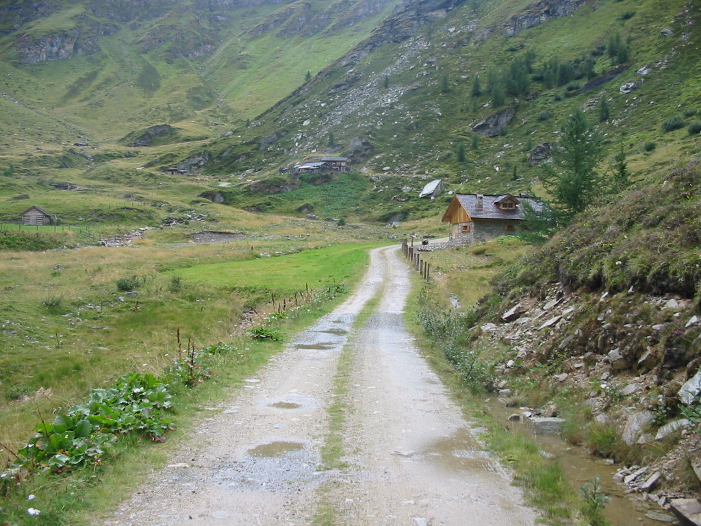 IMG_0088.jpg