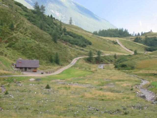 IMG_0098.jpg