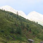 IMG_0120.jpg