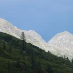 IMG_0121.jpg