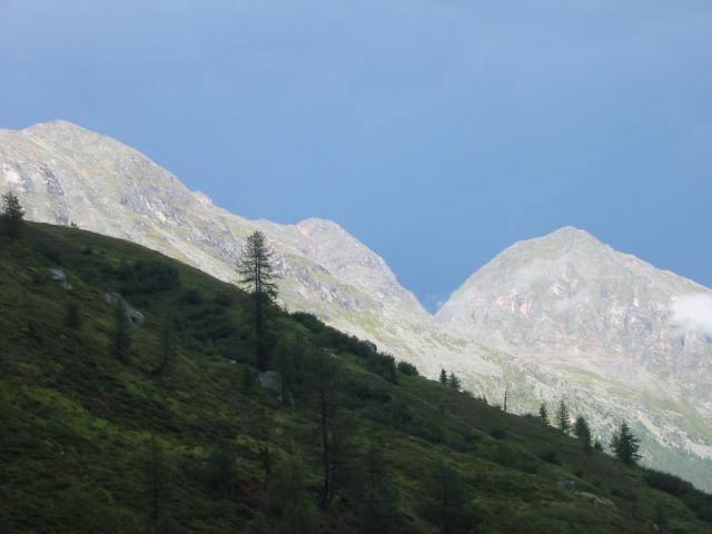 IMG_0121.jpg