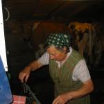 IMG_0128.jpg