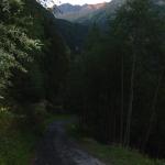 IMG_0164.jpg