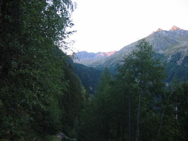 IMG_0165.jpg