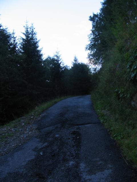 IMG_0166.jpg