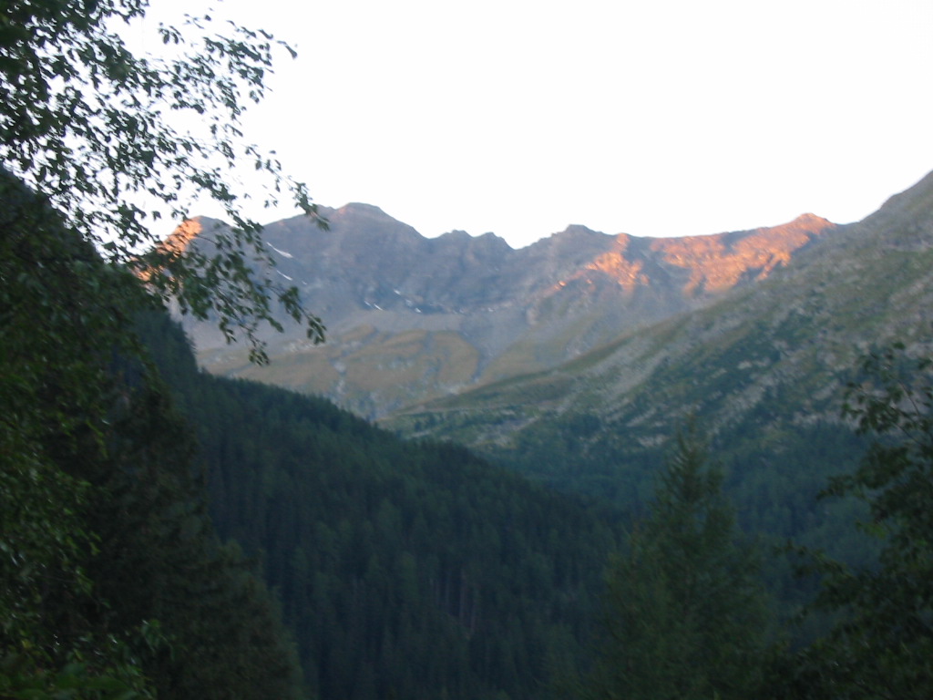 IMG_0169.jpg