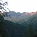 IMG_0169.jpg