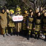 Faschingsumzug Wilhelmsburg (5. März 2011)