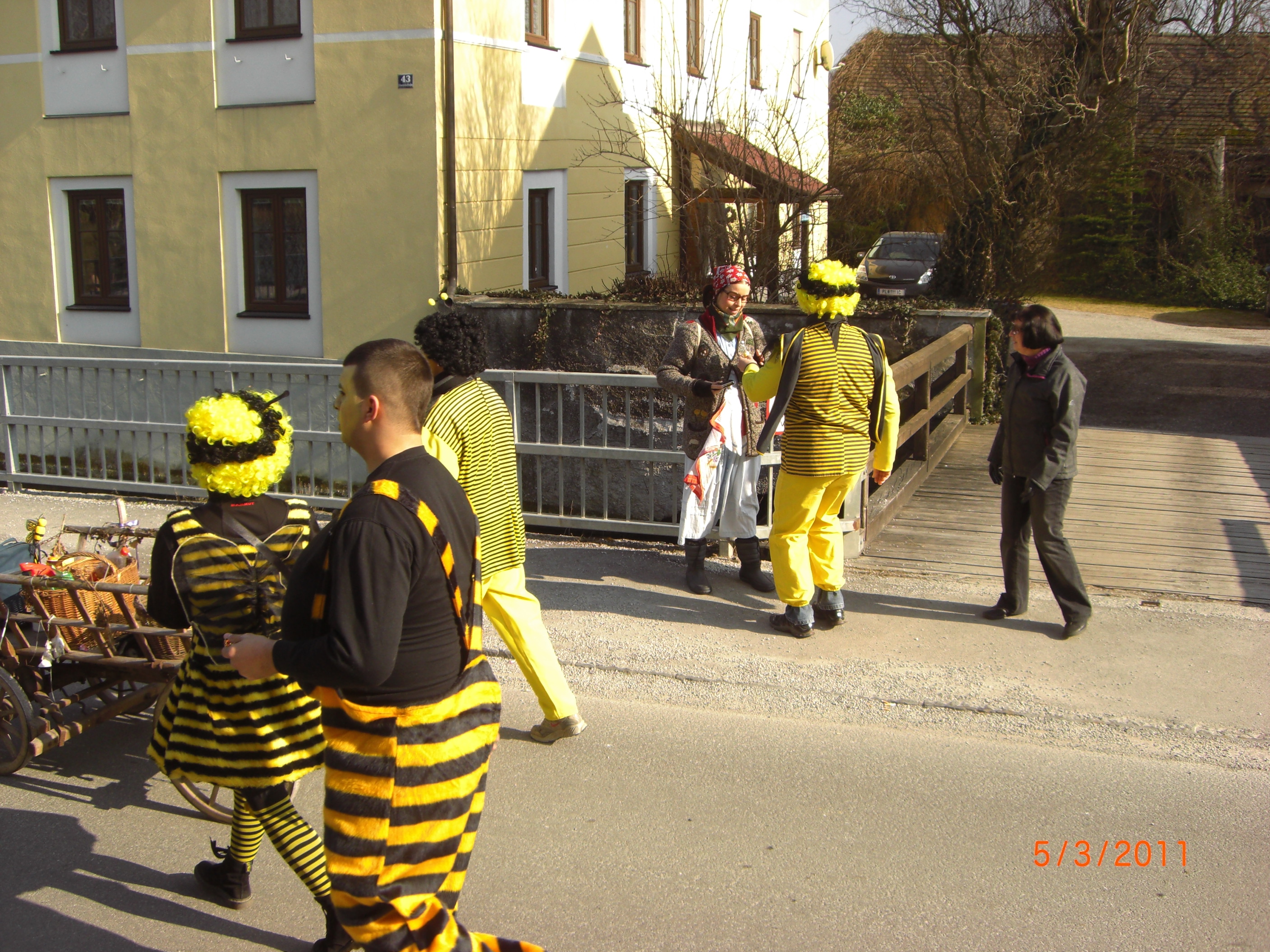 CIMG0919.JPG