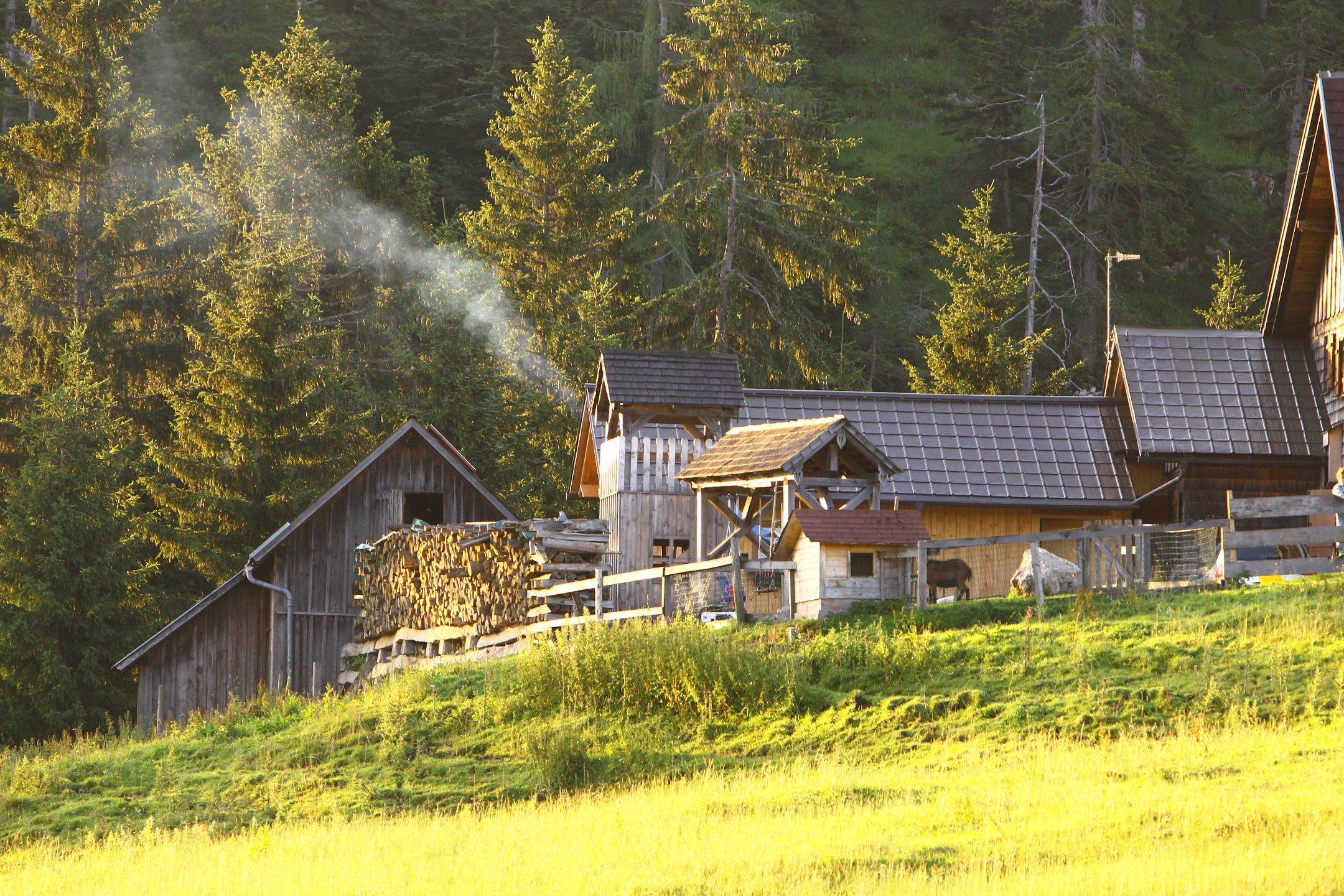 sportograf-20346700.jpg