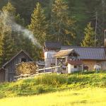 sportograf-20346700.jpg