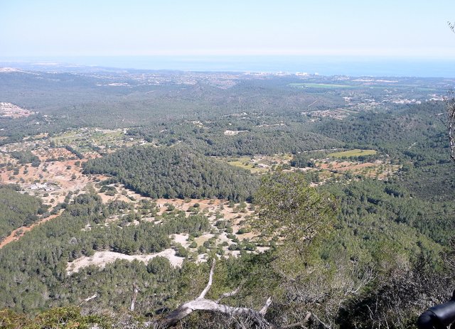P1020024.JPG