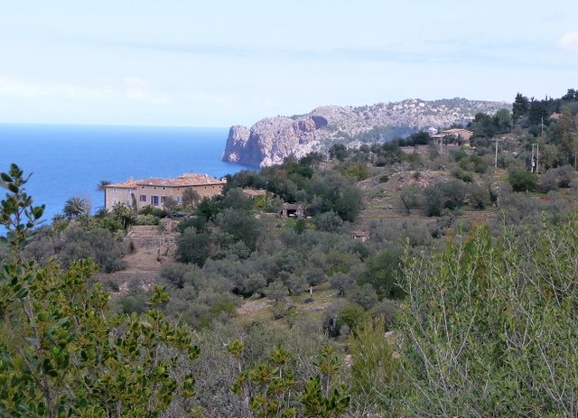P1020059.JPG