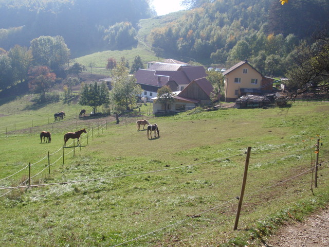 PA101785.jpg