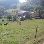 PA101785.jpg