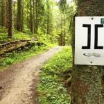 sportograf-30557971_lowres