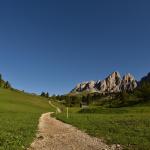 sportograf-81031144