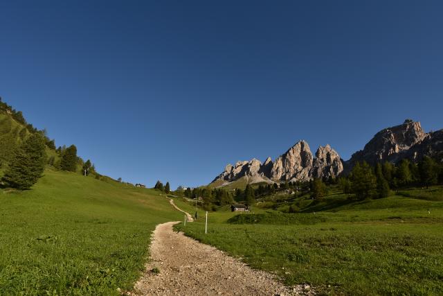sportograf-81031144