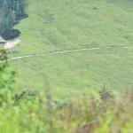 sportograf-83459577