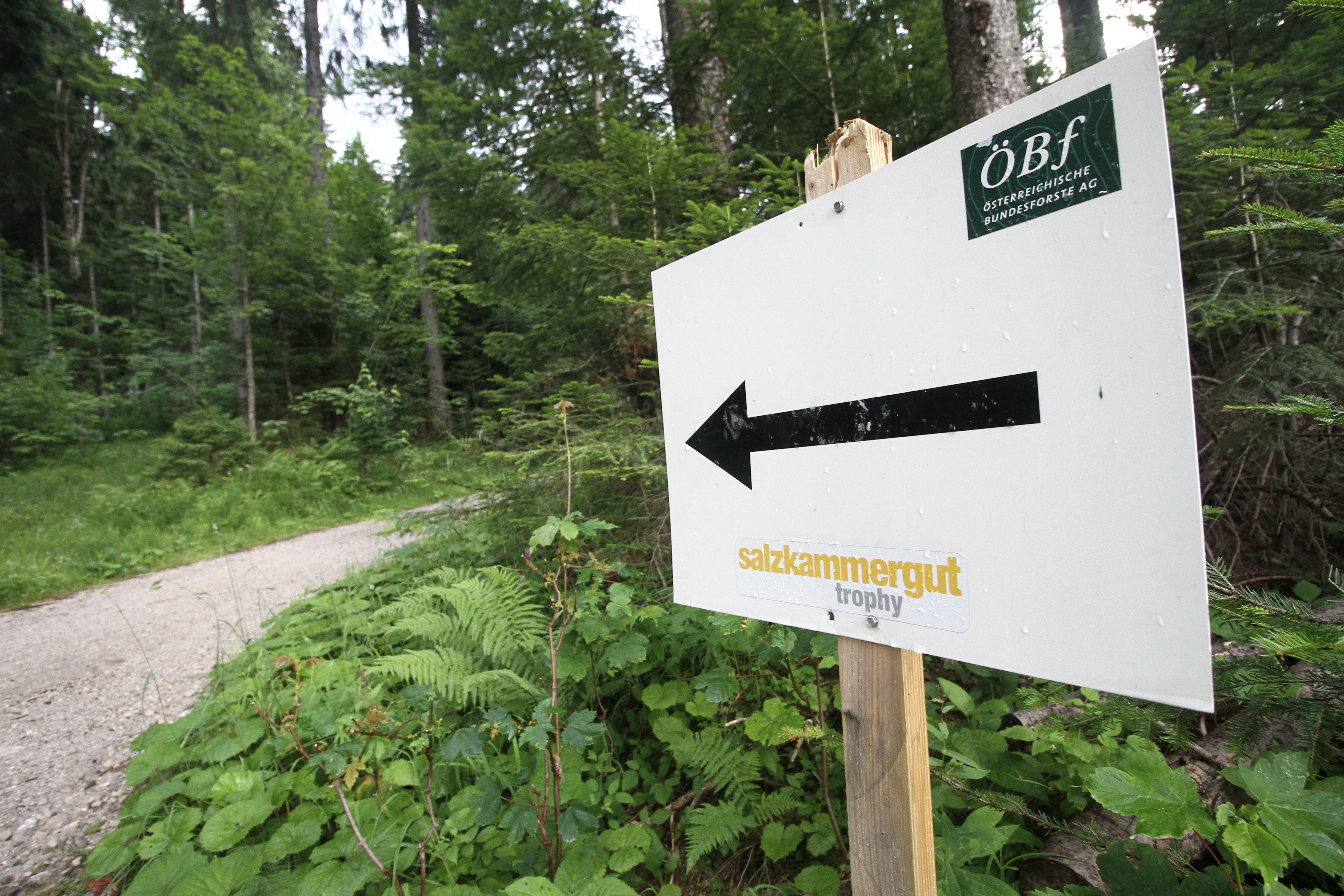 sportograf-83470426