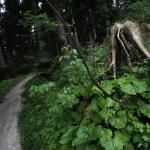 sportograf-83470431