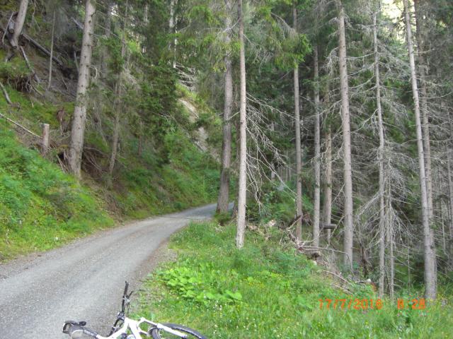 CIMG2644