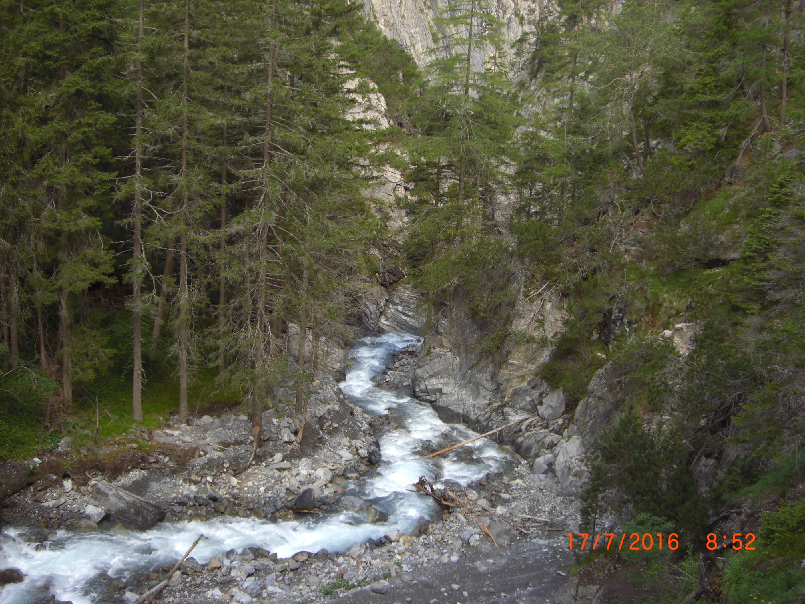 CIMG2645