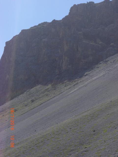 CIMG2684