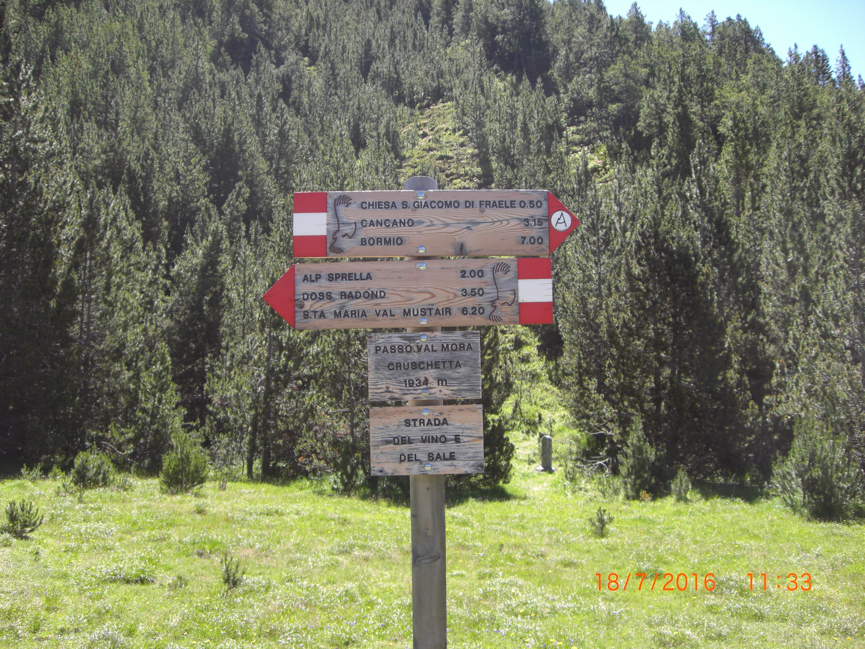 CIMG2703