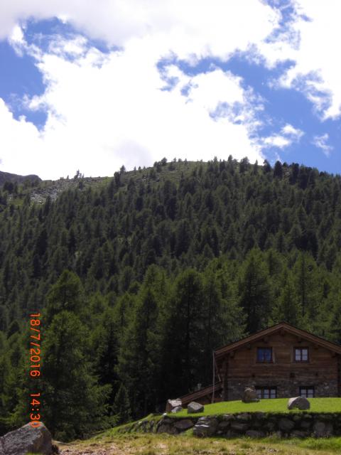 CIMG2728