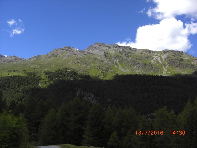 CIMG2729